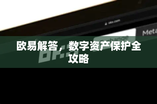欧易解答，数字资产保护全攻略-第1张图片-欧易OKX 官网下载 | 官方移动客户端 - 桌面端