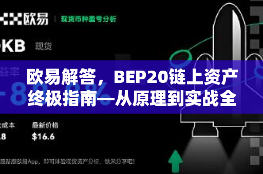 欧易解答，BEP20链上资产终极指南—从原理到实战全解析-第1张图片-欧易OKX 官网下载 | 官方移动客户端 - 桌面端