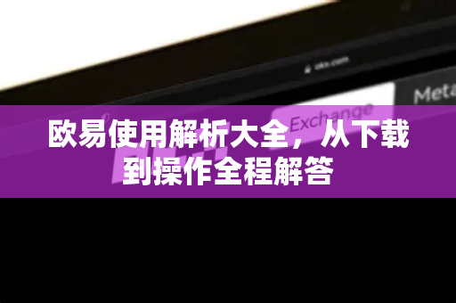 欧易使用解析大全，从下载到操作全程解答-第1张图片-欧易OKX 官网下载 | 官方移动客户端 - 桌面端