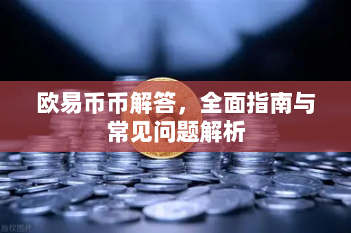 欧易币币解答，全面指南与常见问题解析