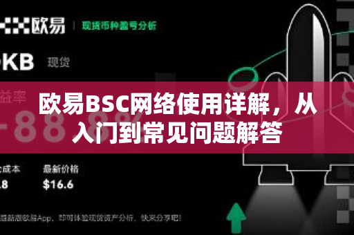 欧易BSC网络使用详解，从入门到常见问题解答