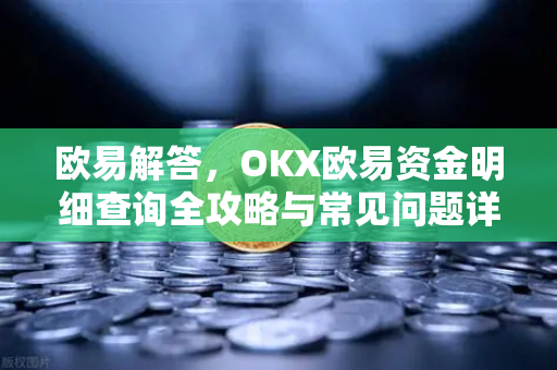 欧易解答，OKX欧易资金明细查询全攻略与常见问题详解