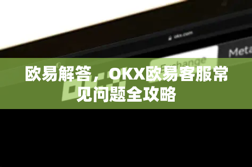 欧易解答，OKX欧易客服常见问题全攻略