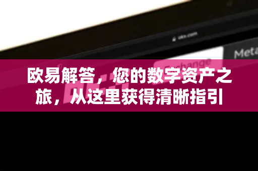 欧易解答，您的数字资产之旅，从这里获得清晰指引-第1张图片-欧易OKX 官网下载 | 官方移动客户端 - 桌面端
