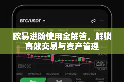 欧易进阶使用全解答，解锁高效交易与资产管理-第1张图片-欧易OKX 官网下载 | 官方移动客户端 - 桌面端
